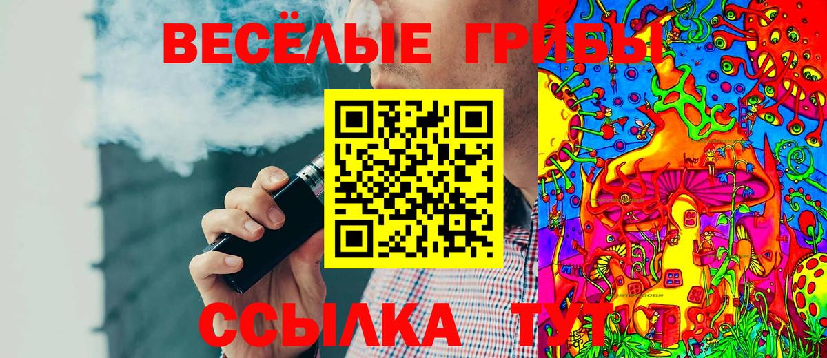 Мытищи  Галлюциногенные грибы GOLDEN TEACHER  Вход с VPN  Псилоцибиновые грибы ЛСД 
